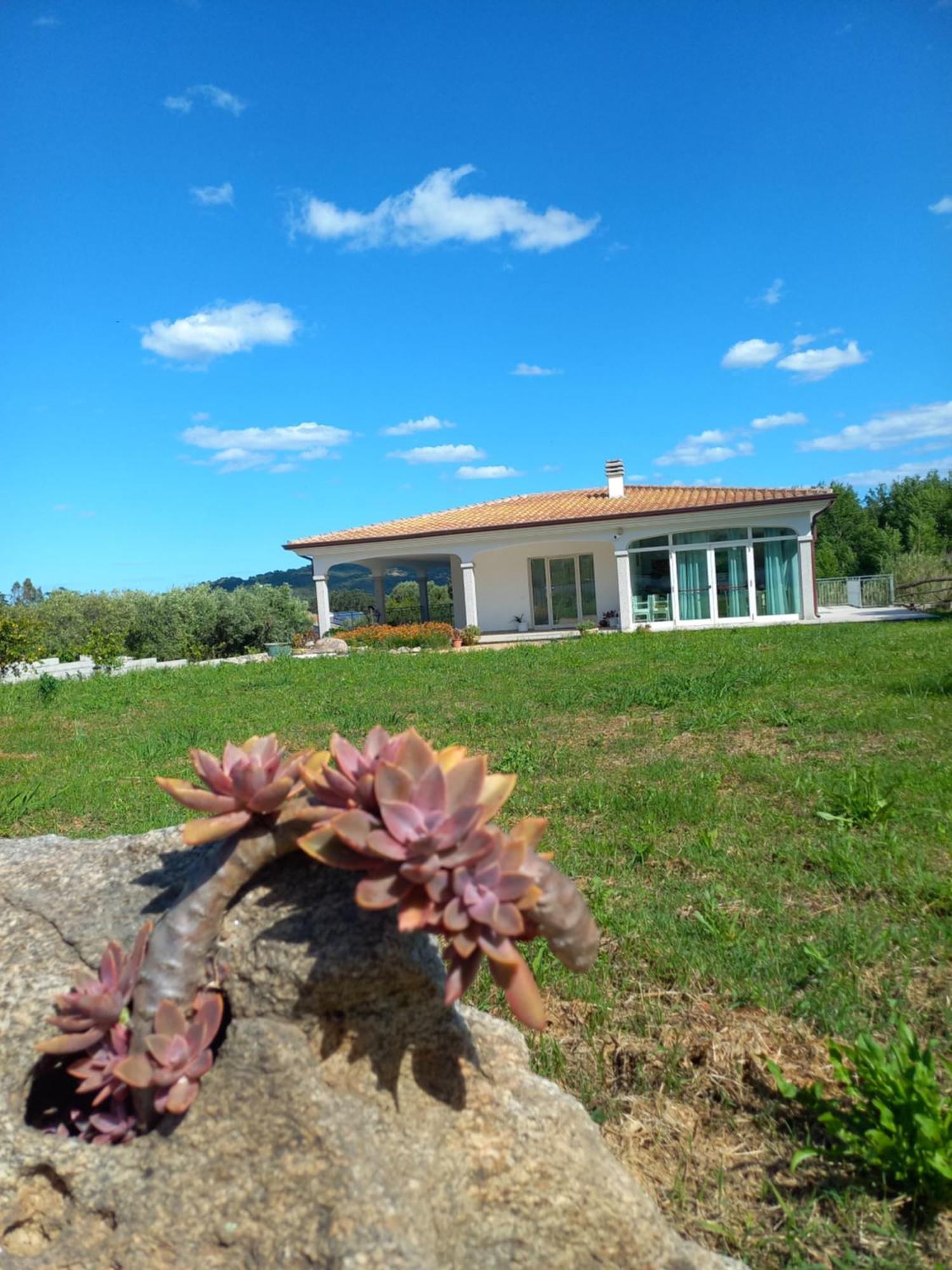 Agriturismo B&B Mares E Montes De Marrante Синискола Экстерьер фото