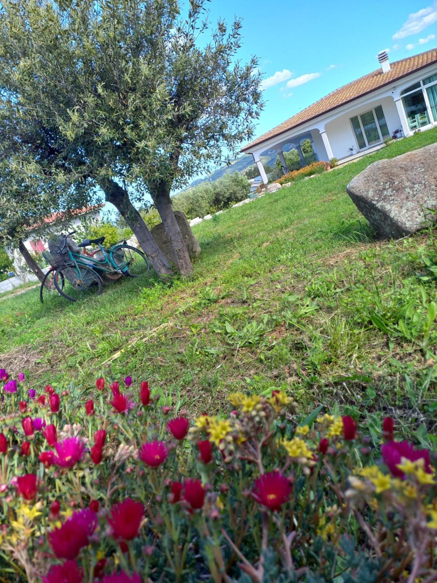 Agriturismo B&B Mares E Montes De Marrante Синискола Экстерьер фото